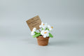 Macetita marrón flor blanca de crochet. 10X5cm lleva un cartel con mensaje. IVA incluido.